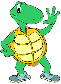 Tortue images