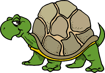 Tortue images