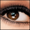 Yeux images