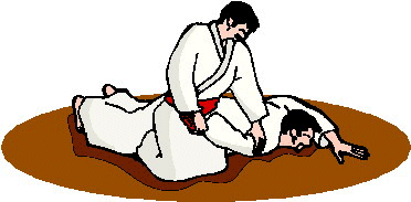 Aikido le sport gifs