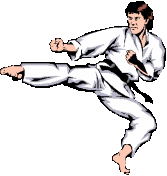 Karate le sport gifs