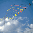 Kiting le sport gifs