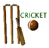 Le cricket