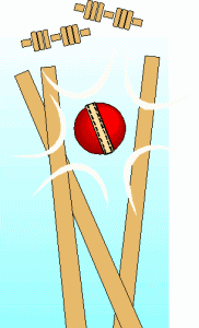 Le cricket le sport gifs