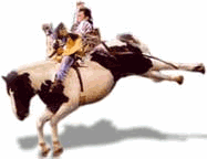 Rodeo le sport gifs
