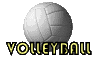 Volley ball le sport gifs