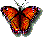 Papillons mini gifs