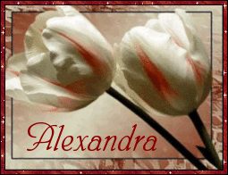 Alexandra nom gifs