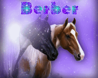 Berber nom gifs
