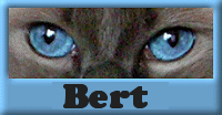 Bert nom gifs