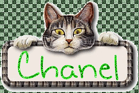 Chanel nom gifs