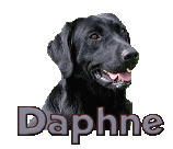 Daphne nom gifs