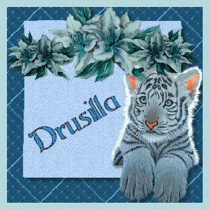 Drusilla