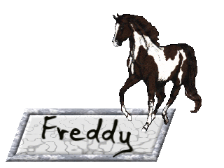 Freddy nom gifs