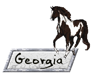 Georgia nom gifs