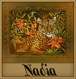 Nadia nom gifs