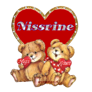 Nisserine