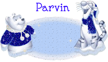 Parvin
