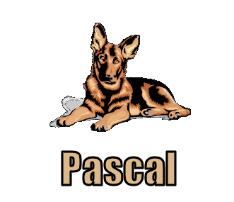 Pascal nom gifs