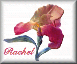 Rachel nom gifs