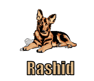 Rashid nom gifs