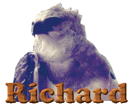 Richard nom gifs