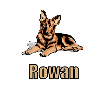 Rowan nom gifs