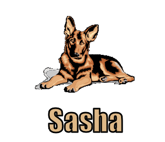 Sasha nom gifs