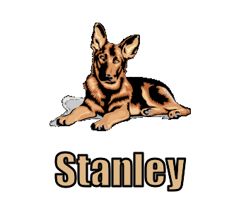 Stanley nom gifs