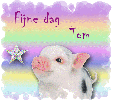 Tom nom gifs