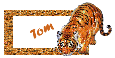 Tom nom gifs