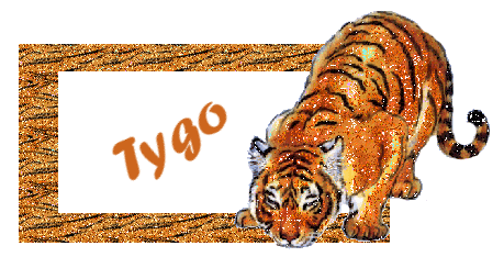 Tygo