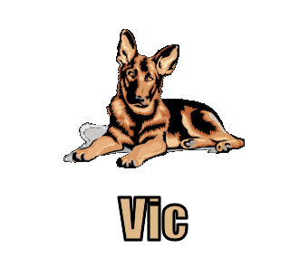 Vic