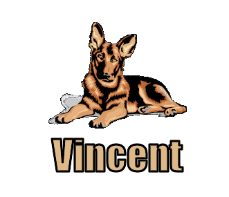 Vincent nom gifs