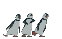 Penguin oiseaux gifs
