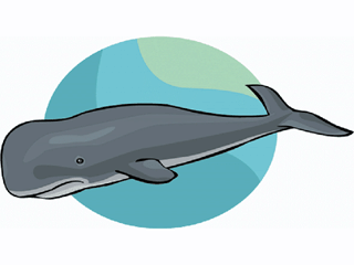 Baleine poisson gifs