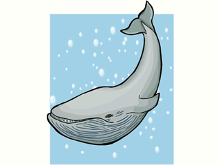 Baleine poisson gifs