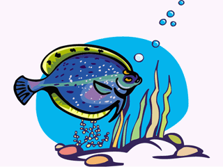 Flatfish poisson gifs