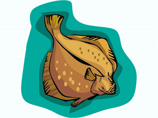 Flatfish poisson gifs