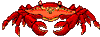 Homards et les crabes