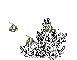 Poissons tropicaux poisson gifs