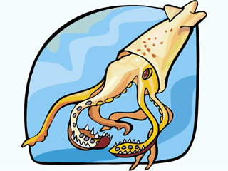 Squid poisson gifs